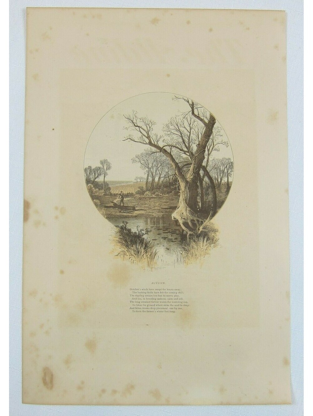 Antique 1870s Engraving Print The Aldine Farm & Stream in Autumn Fall Trees Poem